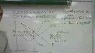 Microeconomics of Imperfect Competition part 2 [upl. by Shoshanna]