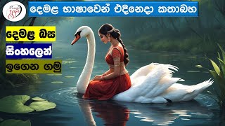 අපි දෙමළ කතා කරමු  මූලික පාඩම්  Lets Speak Tamil  Basic to Advanced Lessonsquot  Punchi Danuma [upl. by Enram478]