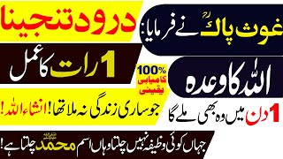 Darood e Tanjeena درود تنجینا  Darood e Tunjeena Parhne Ka Khaas Tariqa  Hajat Wazifa in 1 Day [upl. by Shlomo657]