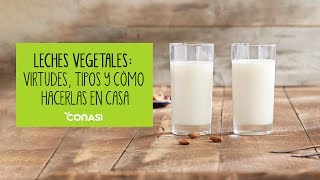 Leches vegetales virtudes tipos y cómo hacerlas en casa [upl. by Nomael]