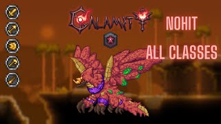 Terraria Calamity Yharon Master Death Mode No Hit All Classes [upl. by Borroff]