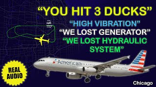 Multiple failures American Airbus A321 hit 3 ducks on takeoff from Chicago Real ATC [upl. by Hayifas]