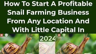 INTRODUCTION TO SNAIL FARMING IN AFRICA [upl. by Biebel]