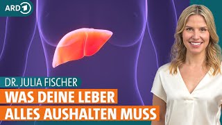 Fettleber heilen Was sind Symptome und wie kann Ernährung helfen  Dr Julia Fischer  ARD Gesund [upl. by Cliffes]