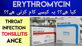 Erythrocin Erythromycin 500MG Tab Uses amp Side Effects In Urdu Hindi  Erythromycin For Sore Throat [upl. by Rhpotsirhc]