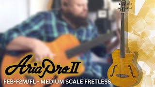 A mediumscale fretless acousticelectric bass  Aria FEBFM2FL Review [upl. by Neirb33]