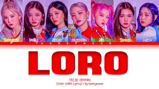 TRIBE LORO Lyrics 트라이 비 LORO 가사 Color Coded Lyrics [upl. by Alarice620]