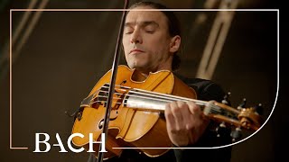 Bach  Cello Suite no 6 in D major BWV 1012  Malov  Netherlands Bach Society [upl. by Relly]