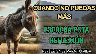 Cuando SIENTAS Que NO PUEDES Más  Una Reflexión Que Cambiará Tu Día  reflexión gratitud motivación [upl. by Anneh]