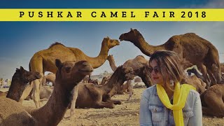 Pushkar Mela 2018  Part 1  Largest Camel Gathering In the World  Rajasthan  DesiGirl Traveller [upl. by Brandenburg551]