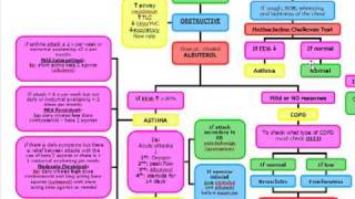 Obstructive vs Restrictive Lung Disease Diagnosis and Management [upl. by Eniamahs]