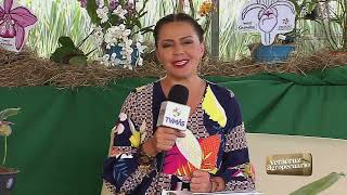 Veracruz Agropecuario  Festival Internacional de la Orquídea programa 1 [upl. by Meijer]