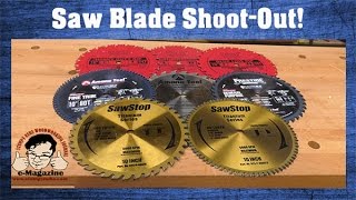 8 Premium Table Saw Blades Which Ones Provide the Best Bang For Your Buck [upl. by Ahseel]