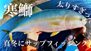 【SUPフィッシング】真冬の海でサップに乗って寒鰤狙いに行ってみた！【青物】【サップフィッシング】【カヤックフィッシング】 [upl. by Enelam824]