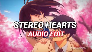 Stereo Hearts  Violin Cover  Edit Audio  Gym Class Heroes [upl. by Faletti]