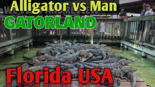 Gatorland Orlando florida Alligator Show  Alligator Vs Trainer Very Dangrous Act  Florida USA [upl. by Josee591]