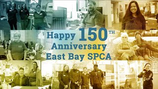 East Bay SPCA Celebrates 150 years [upl. by Yslek]