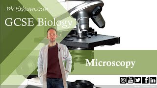 Microscopy  GCSE Biology 91 13 [upl. by Mita]