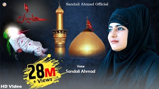 Moharam Naat 2021  JHULA JHULAU ft Sandali Ahmad Kuch Bharosa Hai Jindagi  Imam hussain qawwali [upl. by Ribble521]