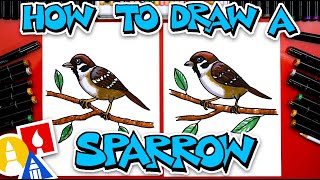 How To Draw A Sparrow [upl. by Aileda19]