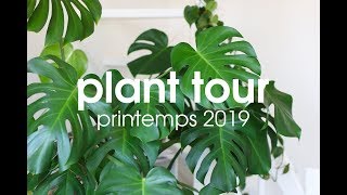 PLANT TOUR 🌿 Toutes mes plantes dintérieur – Printemps 2019 [upl. by Onilecram962]