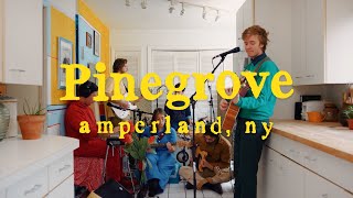 Pinegrove  quotAmperland NYquot  The Movie [upl. by Ellierim570]