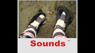 Squelch Sound Effects All Sounds [upl. by Elish]