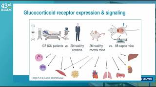 CORTICOTHERAPY IN SEPSIS amp ARDS ISICEM 2024 [upl. by Devinne]