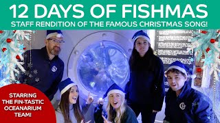 12 DAYS OF FISHMAS MERRY CHRISTMAS FROM THE OCEANARIUM TEAM [upl. by Lucretia]