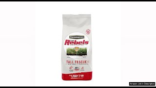 Pennington The Rebels Tall Fescue Grass Seed Mix 7 lb Review [upl. by Nosecyrb]