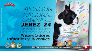 Exposiciones Nacional Canina  Jerez 2024 Infantiles y Juveniles [upl. by Enilrahc]