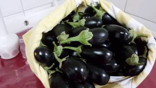 طريقة عمل المكدوس بخطوات سهله و ببساطه المرحله الاولى Makdous eggplant easy recipe [upl. by Kalmick545]