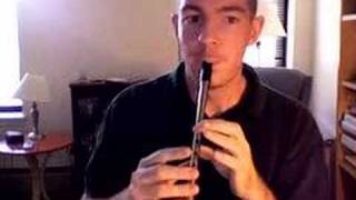 Tin Whistle Carmel Mahoneys [upl. by Ginzburg]