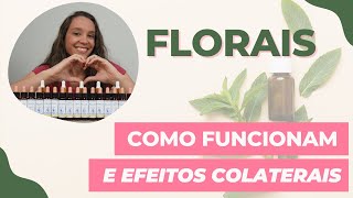 🌸 Como os Florais de Bach Funcionam e Efeitos Colaterais 🌸 Thaís Scapim [upl. by Sitnerp]