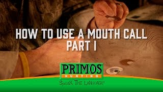 How to Use a Mouth Turkey Call Part I [upl. by Nagam]