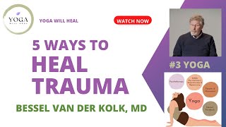 5 Ways to Heal Trauma  Dr Bessel van der Kolk [upl. by Eixor]