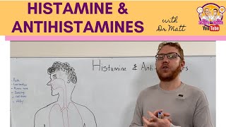 Histamine and Antihistamines Meds [upl. by Tamaru]