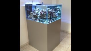 Aquarium récifal 280 L reef tank 75 G 3mois [upl. by Lorraine]