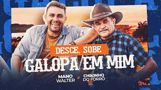 DESCE SOBE GALOPA EM MIM  Mano Walter e Chikinho Do Forró [upl. by Aufmann]