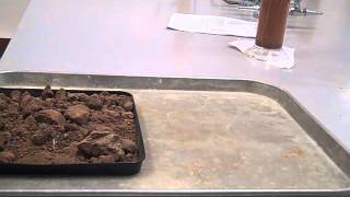 Simple wind erosion demonstration Part 1 [upl. by Kuth899]