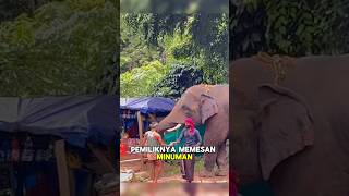 Gajah yang Membuka Jalan Bagi Semua Orang shorts story rojakchannel [upl. by Jarred]