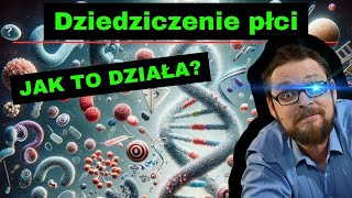 Dziedziczenie płci⚡ Dziedziczenie Daltonizmu i Hemofilii🤓 Dziedziczenie grup krwi🔥 genetyka klasa 8 [upl. by Heintz]