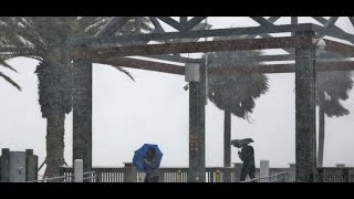 Deutscher Vlog FloridaTropischer Sturm FloridaDjango beim TierarztFlorida Leben [upl. by Lazar]