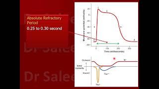 Refractory period in cardiac muscle fiber [upl. by Haisa765]