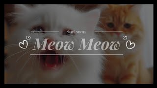 Meow Meow Meow Meow 🎶 Sad TikTok Song 💔😿 [upl. by Ralli]