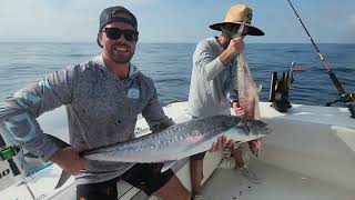 Greater Jacksonville Beach Kingfish Tournament 2024 [upl. by Eilyac]