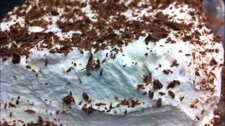 MOCHA CAKE  easy and fast to make [upl. by Avery191]