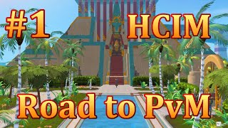 RS3 HCIM Road to PvM 1  Introducing 1st Warden [upl. by Iny]