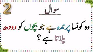 Paheliyan In Urdu With Answer  Riddles In Urdu amp Hindi  Amazing Facts amp Brain Facts In Urdu [upl. by Ameen]