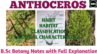 ANTHOCEROS Classification External and Internal StructureBsc botany Notes with Explanation ZBC [upl. by Valry]